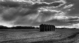 20120408_Alberta_0016_7_8.jpg