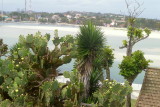SAQUAREMA P1030827.JPG