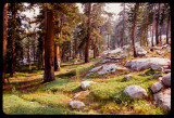 John Muir Trail south of Silver Pass