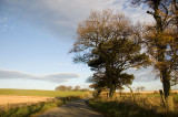 20th November 2011 November afternoon