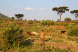 2632 Maasai boy.jpg
