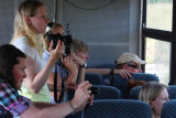 4637 Watching elephants.jpg
