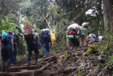 5614 Mount Kili Day 1.jpg