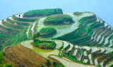 Rice Terraces, Longsheng