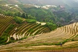 Rice Terraces, Longsheng