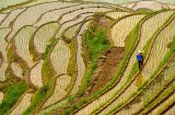 The Rice Farmer, Longsheng