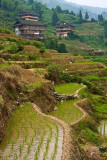 Longsheng
