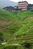 Ping'An village, Longsheng