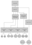 signal path opt3.JPG