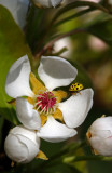 IMG_3967ok.jpg
