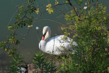 IMG_9233ok.jpg