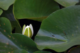 IMG_9966ok.jpg