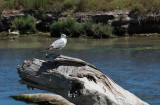 IMG_0504ok.jpg