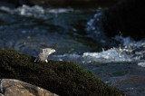 IMG_8995ok2.jpg