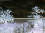 eerie-colorinvertd