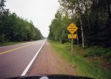 Elk Crossing Area.jpg