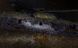 Mould