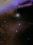 Cosmos