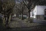 Halden Saturaday October 29th 2011 #1