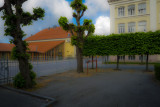 Halden morning #2