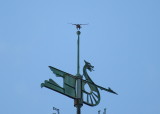 Peregrine landing on top bulb