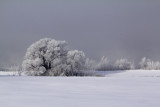 Décor hivernal