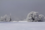 Décor hivernal