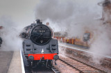 73129 at Bishops Lydeard.