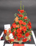 Malvern Flower Show - Best in class.