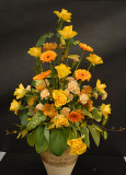Malvern Flower Show - yellow.