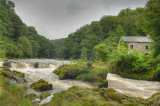 Cenarth Falls.