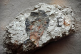 Fragments of wall paintings, Old Nisa, 2nd C. BC