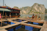 Fish farm, Halong Bay