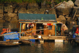 Floating village, Halong Bay