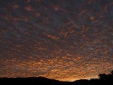 Sunsets at Kona (8)