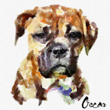 Oscar by Alcar - December, 2011