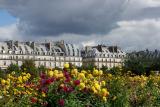 LE JARDIN DES TUILERIES