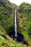 Akaka Falls