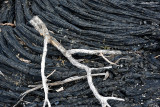 resting on lava
