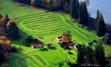 small farm at NE 20th St Carnation WA