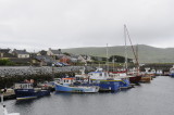 The harbor at Dingle, County Kerry (3280)