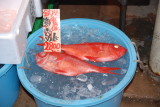 Miura morning fish market