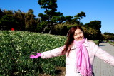 Jogashima Island