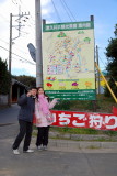 Strawberry Orchard in Kanagawa