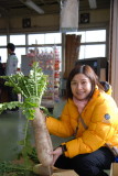 Strawberry Orchard in Kanagawa