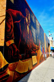 DSC_2556c.jpg