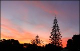 Summer Sunset
