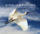 COVER OF NEW BOOK.jpg