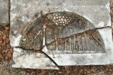 Tombstone at Ne Ve Shalom - Grafsteen bij Ne Ve Shalom