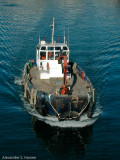 25 June - working harbour